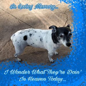 Meet your Posher, Barbara